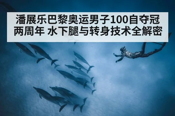 潘展乐巴黎奥运男子100自夺冠两周年 水下腿与转身技术全解密